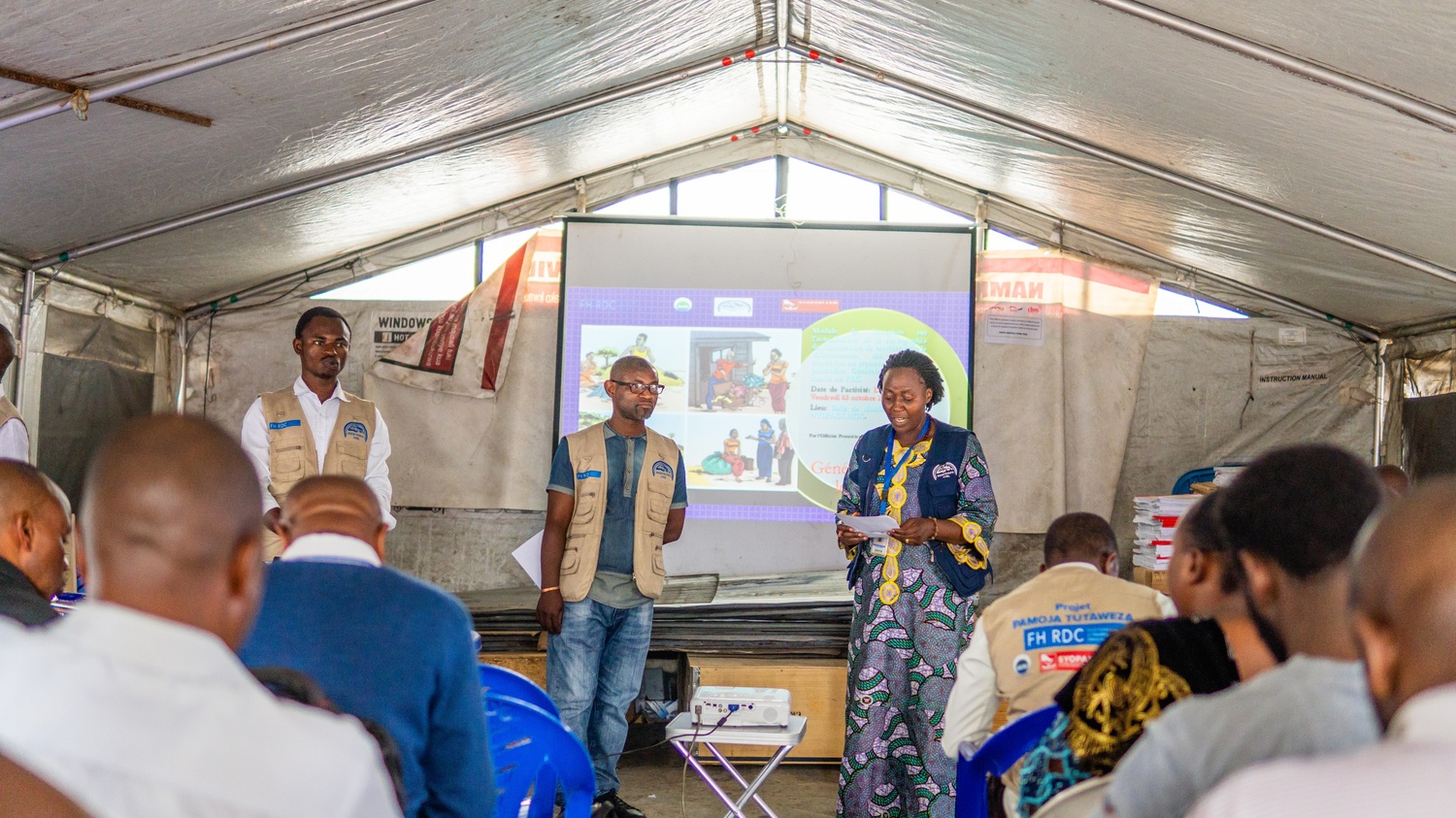 Illustration article